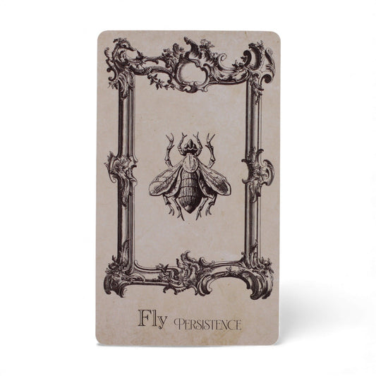 Spellbook Orákulum kártya - Boszorkányság pakli