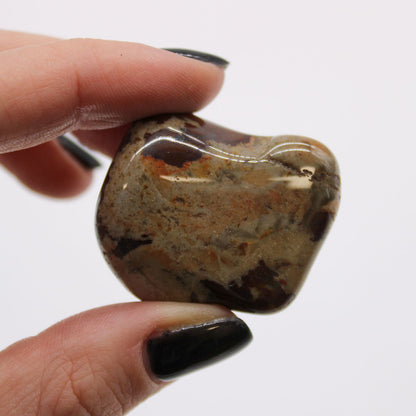 Bag of 6 Large African Tumble Stones - Jasper Nguni