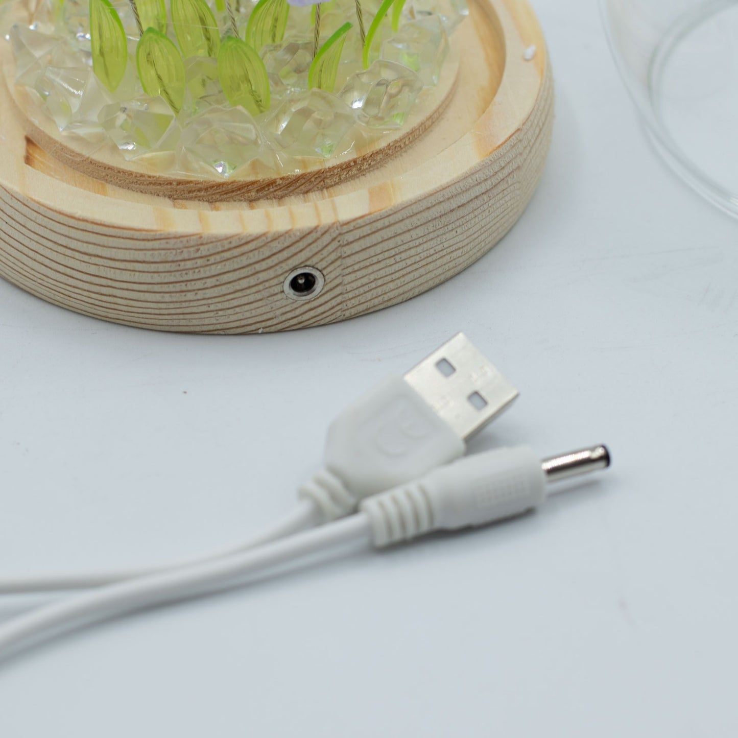 Ragyogó virágok üvegkupolában – 20 Tulipán – LED USB