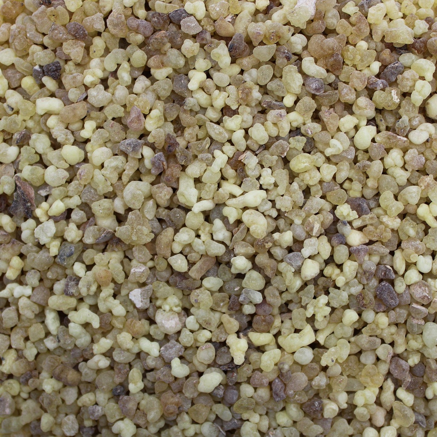 Tömjén gyanta – 250 g
