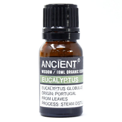Eukaliptusz bio illóolaj 10 ml